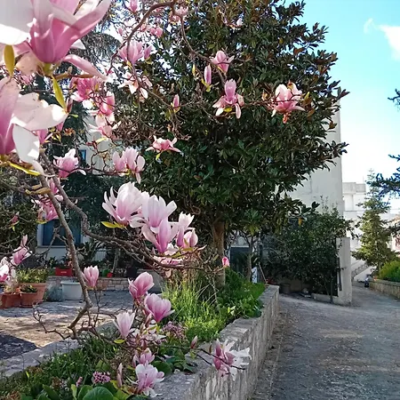 Mt House * Alberobello