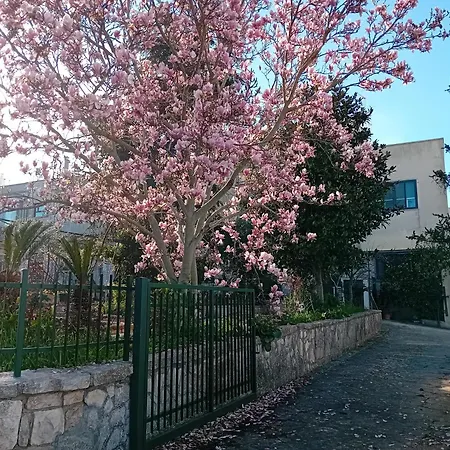 アパート Mt House *