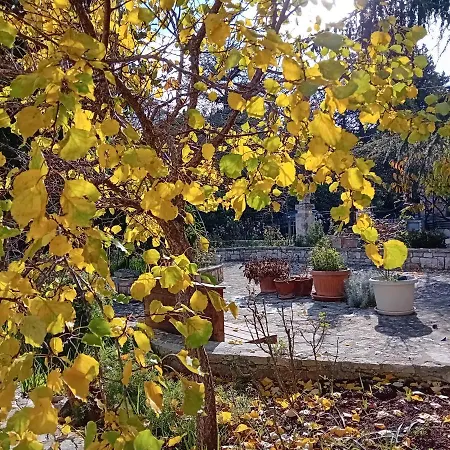 Mt House 알베르벨로