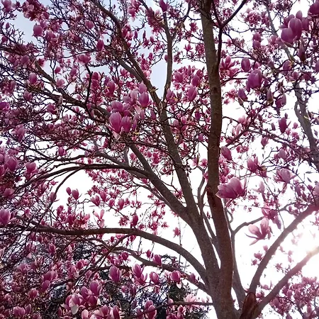 Mt House Alberobello
