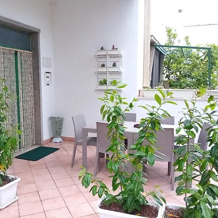 Mt House Apartment *